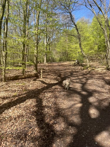 Runde in den Fröruper Bergen