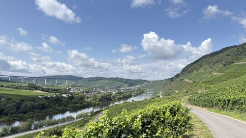 Erdener Treppchen (Grün)