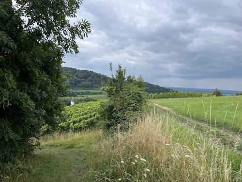 Amoltern Zur KatharinenKappelle