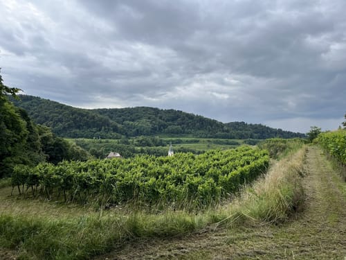 Amoltern Zur KatharinenKappelle