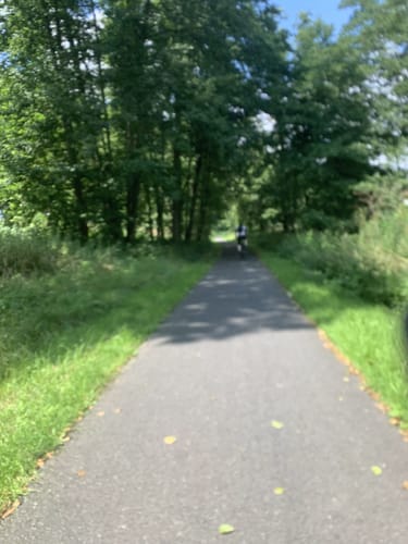 Mainradweg Etappe 6: Lohr am Main - Wertheim