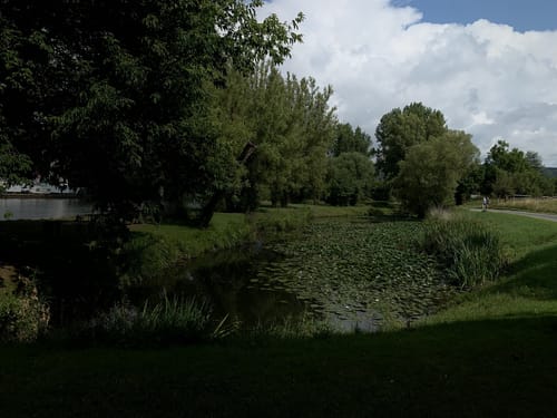Mainradweg Etappe 6: Lohr am Main - Wertheim