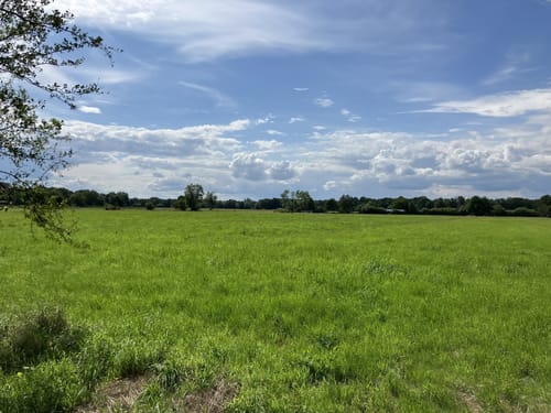 Drömling ab Allerpark
