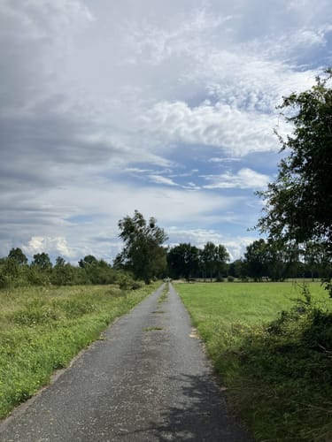 Drömling ab Allerpark