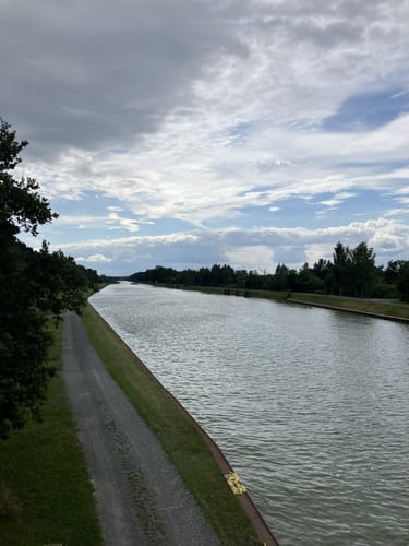 Drömling ab Allerpark