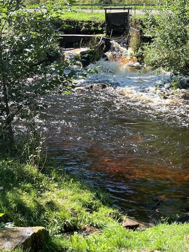 Bad Wildbad - Kurpark
