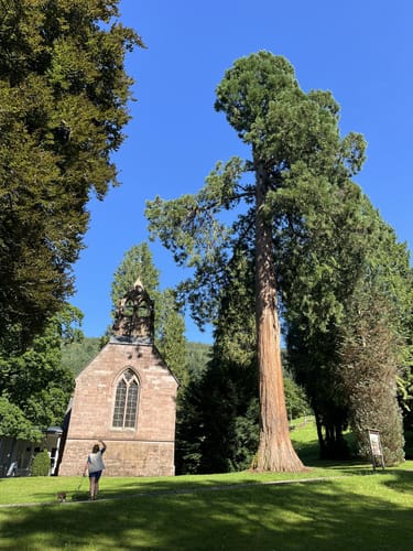 Bad Wildbad - Kurpark