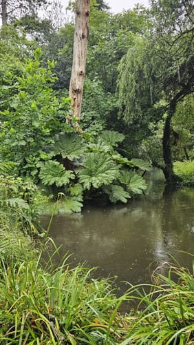 Hombroich Museeumsinsel