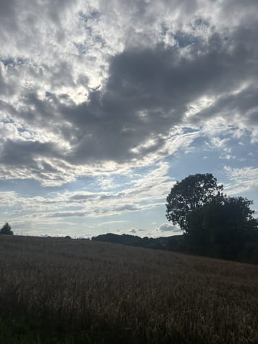 Rund um Hinterhausen