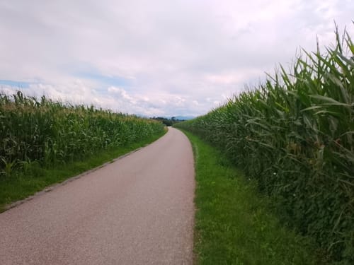 Radtour von Siegsdorf nach Altenmarkt