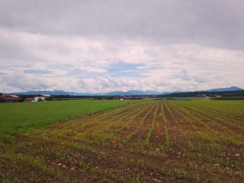 Radtour von Siegsdorf nach Altenmarkt