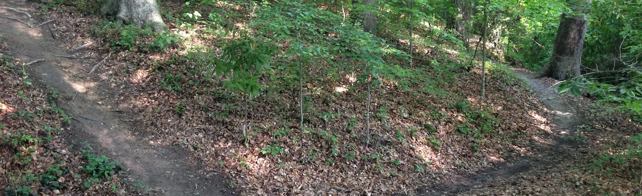 Briarwood Trail, 32 Reviews, Map AllTrails