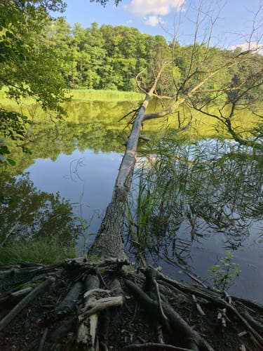 Summter See - Tegeler Fließtal