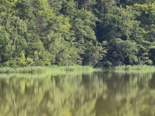 Summter See - Tegeler Fließtal