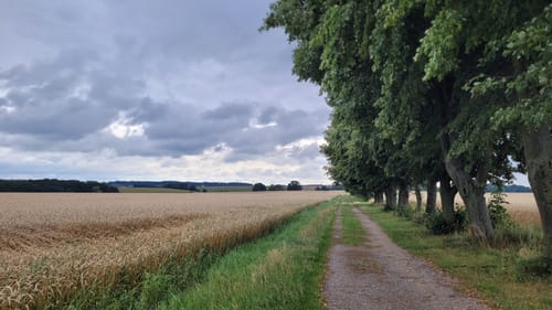 Panschwitz-Kuckau - Kubschütz