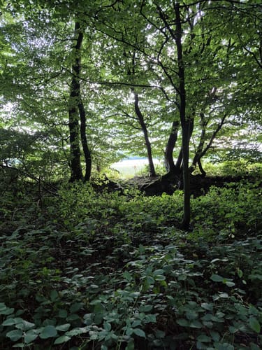 R 05: Durch die Baumberge zwischen Billerbeck und Nottuln