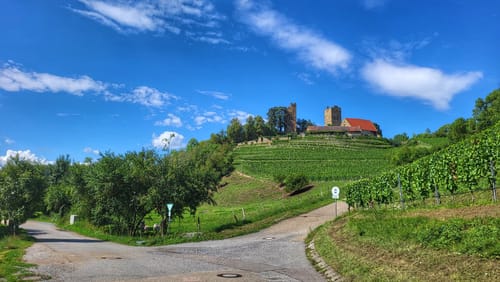 Von der Waldschenke Hörnle um die Burg Neipperg