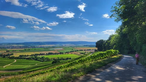 Von der Waldschenke Hörnle um die Burg Neipperg