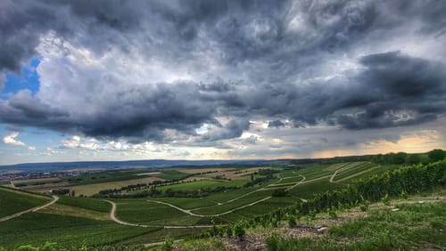 Von der Waldschenke Hörnle um die Burg Neipperg