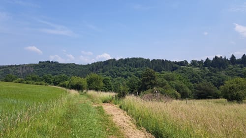 Üxheim Runde (Gerolsteiner Land)