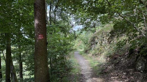 Rundweg HG4 (Höhr-Grenzhausen)