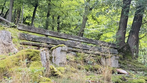 Rundweg HG4 (Höhr-Grenzhausen)