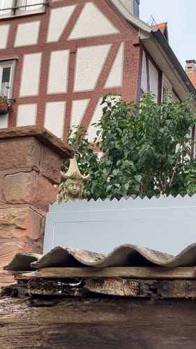 Zwischen Fachwerkstadt und Heiligem Hain (Extratour)
