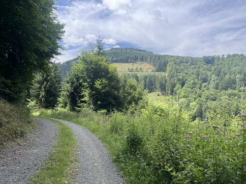 Um Wenholthausen (W4)
