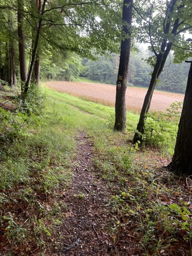 Alfeld: Rundweg Claramühle