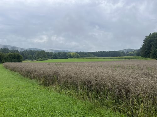 Alfeld: Rundweg Claramühle