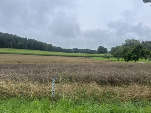 Alfeld: Rundweg Claramühle