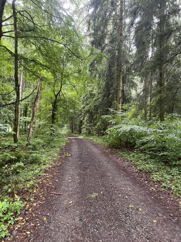 Alfeld: Rundweg Claramühle