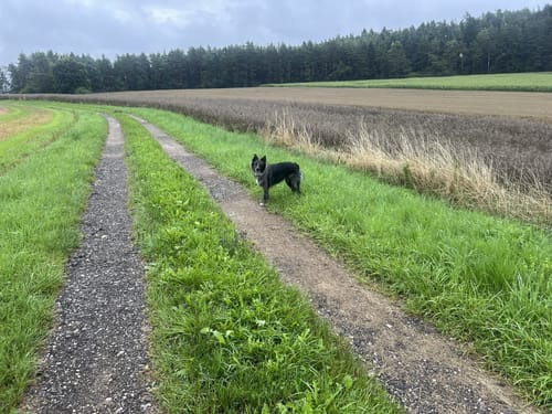 Alfeld: Rundweg Claramühle