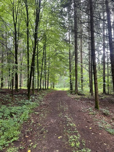 Alfeld: Rundweg Claramühle