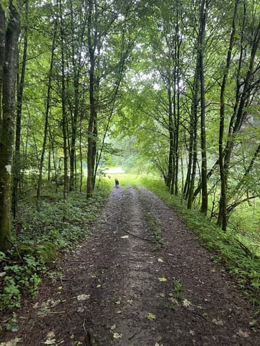Alfeld: Rundweg Claramühle