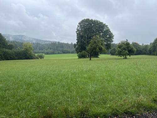 Alfeld: Rundweg Claramühle