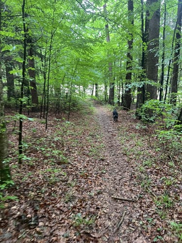 Alfeld: Rundweg Claramühle