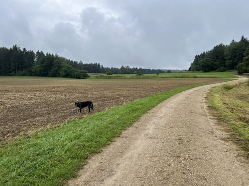 Alfeld: Rundweg Claramühle