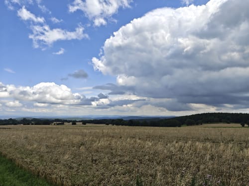 Oelsen - Špičák