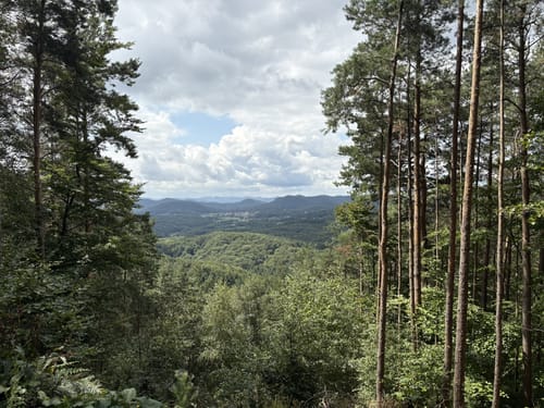 Rehbergturm