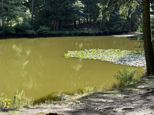 Friedrichroda, Schnepfenthal-Rödichen und Bad Tabarz