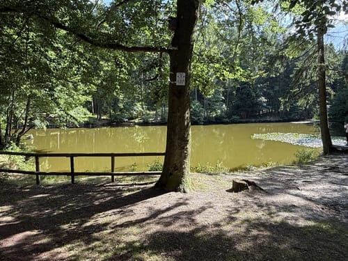 Friedrichroda, Schnepfenthal-Rödichen und Bad Tabarz
