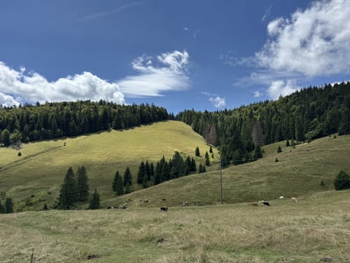 Todtmooser Lebküchlerweg (Genießerpfad)