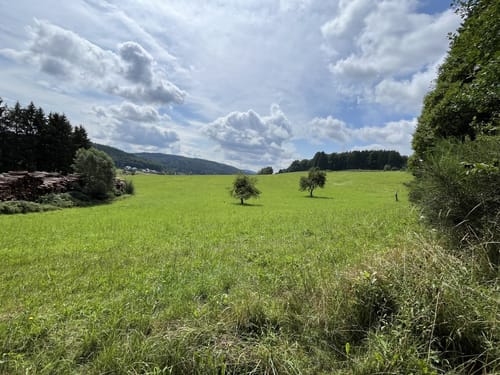 Rundwanderweg Grasellenbach 8: Erlebniswanderweg Fürth-Grasellenbach