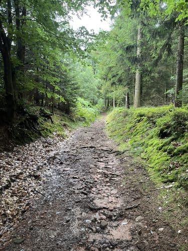 Rundwanderweg Grasellenbach 8: Erlebniswanderweg Fürth-Grasellenbach