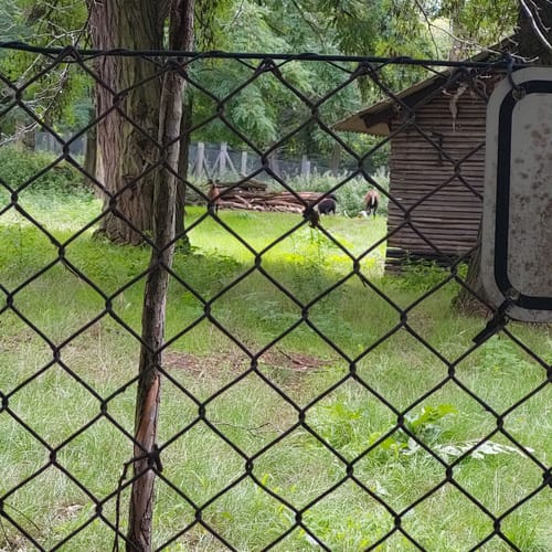 Rund um den Volkspark Rehberge