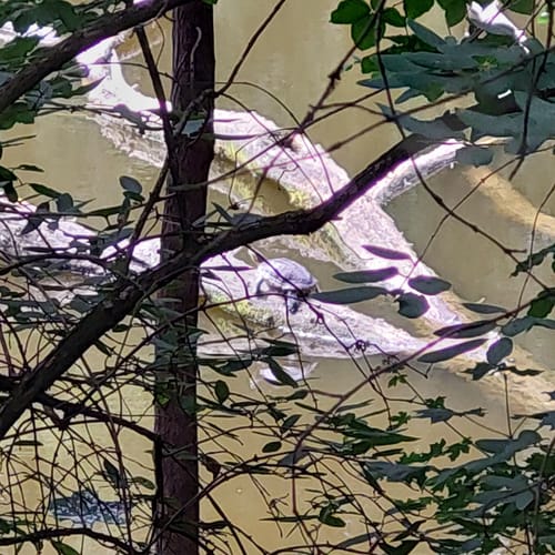 Rund um den Volkspark Rehberge