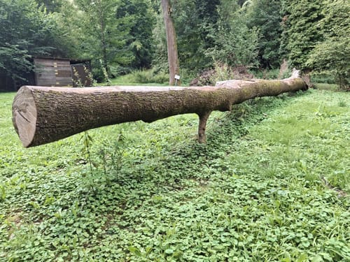 An der Rur bei Barmen