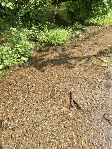 An der Rur bei Barmen