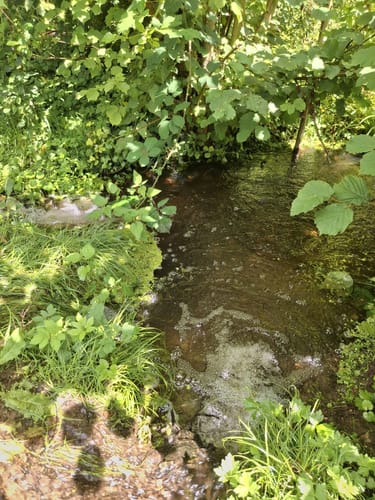 An der Rur bei Barmen
